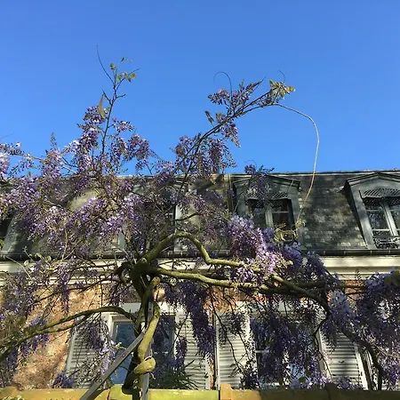 Bed In - De La Piece D'eau Des Suisses * Versailles