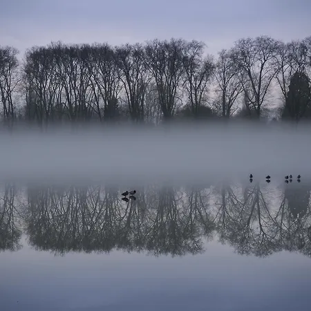 Panzió Bed In - De La Piece D'eau Des Suisses