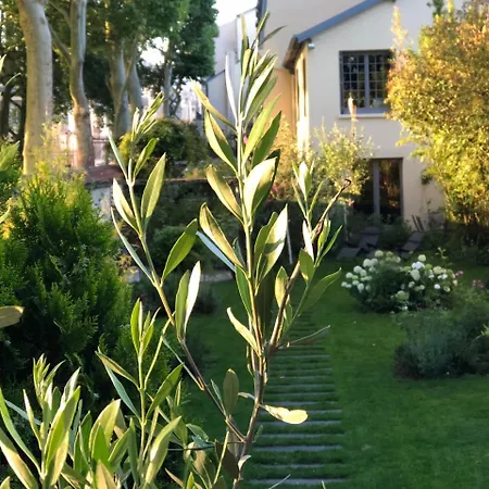 Panzió Bed In - De La Piece D'eau Des Suisses *