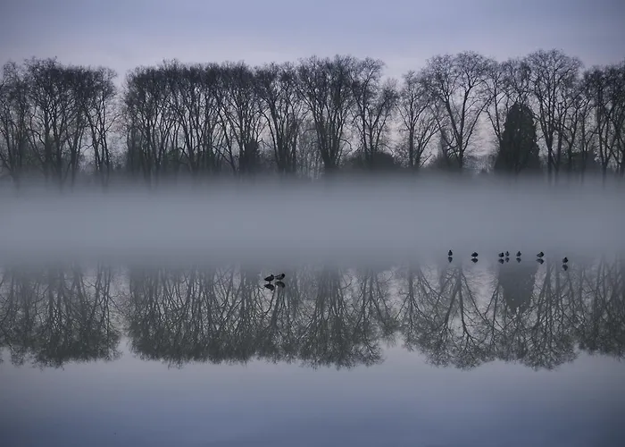 Frühstückspension Bed In - De La Piece D'eau Des Suisses
