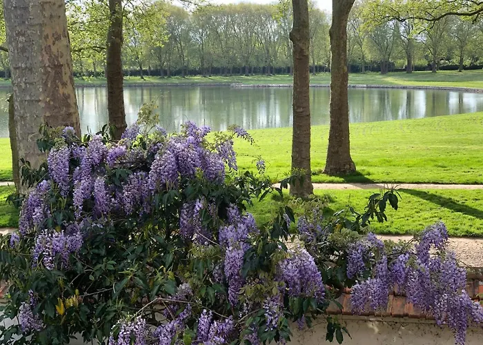 Bed In - De La Piece D'eau Des Suisses Frühstückspension Versailles